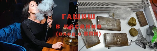сатива Волоколамск