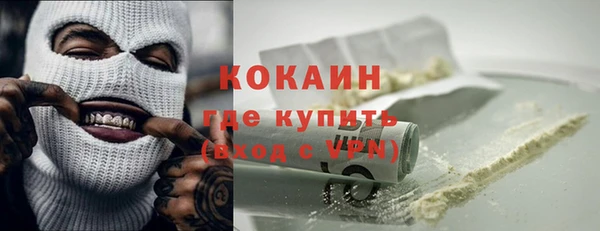 сатива Волоколамск