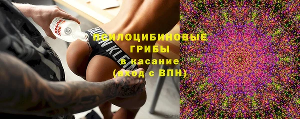 сатива Волоколамск