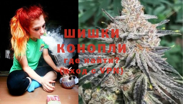 сатива Волоколамск