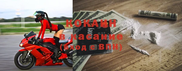 сатива Волоколамск