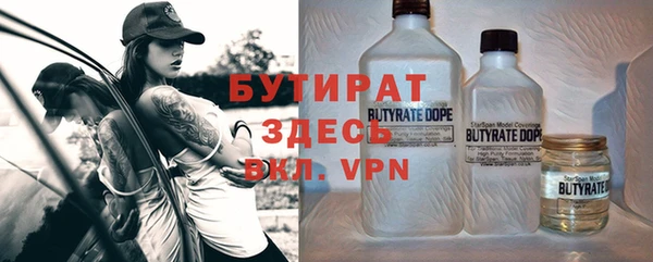 сатива Волоколамск