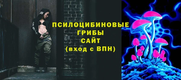 сатива Волоколамск
