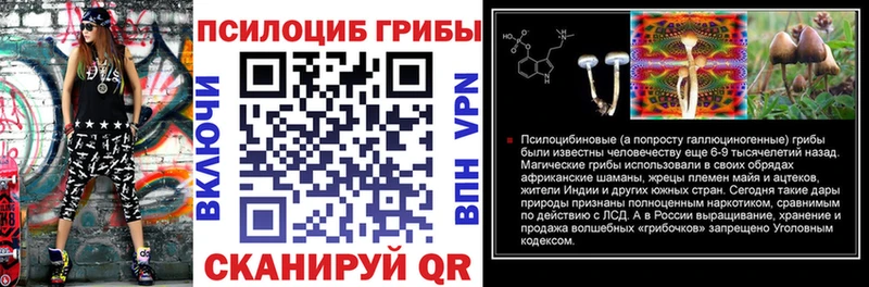 Псилоцибиновые грибы Psilocybe что такое наркотик shop Telegram Яхрома